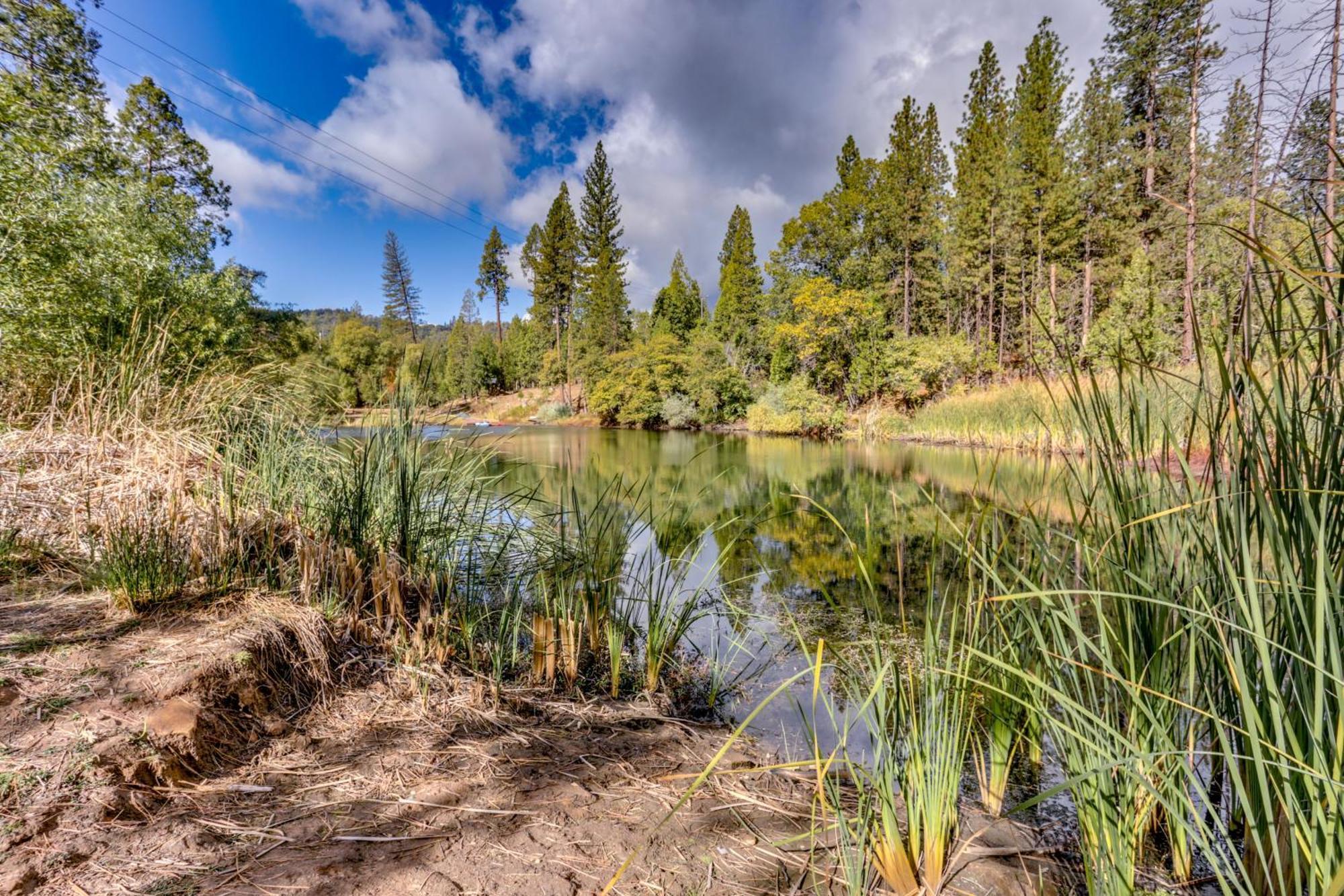Pet-Friendly Escape With Game Room And Fire Pit! North Fork エクステリア 写真